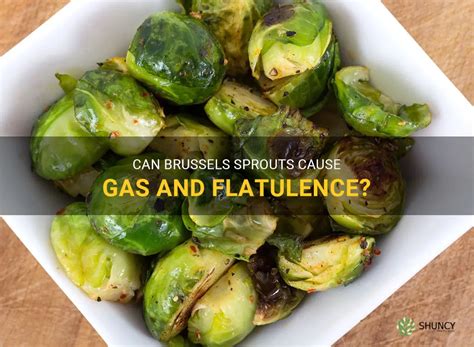 how to cook brussel sprouts so dont cause gas